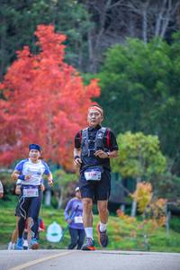 BIB: 2005, 8236
                            <button type="button" onclick="openModal(19241082)" class="btn btn-primary btn-sm float-right btn-popup" data-toggle="modal" data-target=".modal-high-quality">
                        <i class="fas fa-shopping-cart"></i> Add to Cart
                    </button>
                                            <button type="button" onclick="isThisMe(19241082, true)" class="btn btn-success btn-sm float-right btn-popup btn-isme hidden" data-toggle="tooltip" data-placement="bottom" title="นี่คือรูปของคุณใช่ไหม คลิกที่นี่เพื่อเอาเข้าอัลบั้ม">
                        <i class="fas fa-plus"></i> Add to album
                    </button>
                    <button type="button" onclick="isThisMe(19241082, false)" class="btn btn-warning btn-sm float-right btn-popup btn-isnotme hidden">
                        <i class="fas fa-ban"></i> Remove from album
                    </button>